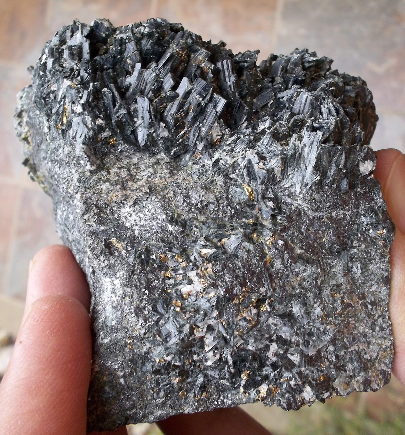 Ferroactinolita y magnetita
6 x 5 cm
(Autor: Cristalino)