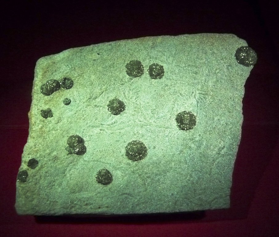 Pirita.
120x100 mm.
(Autor: Jesus Franquesa Baucells)