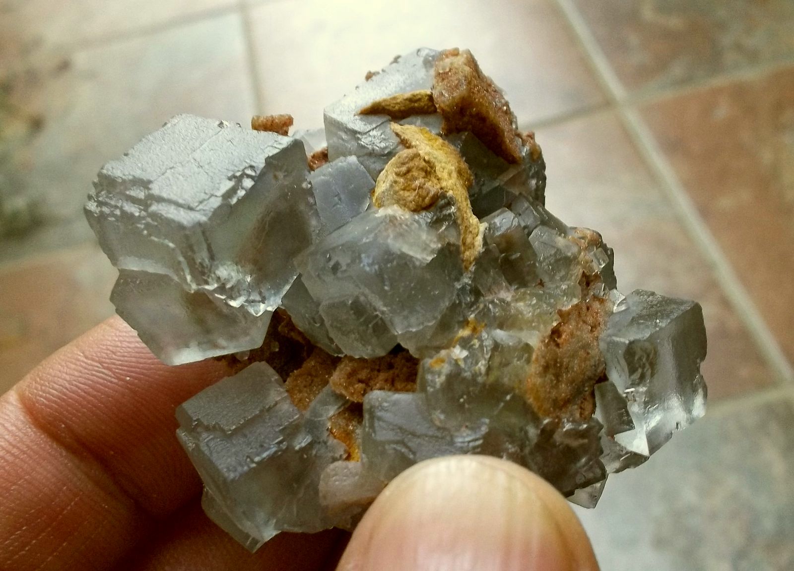 Fluorita
1,20 cm el cristal de mayor dimensión
(Autor: Cristalino)
