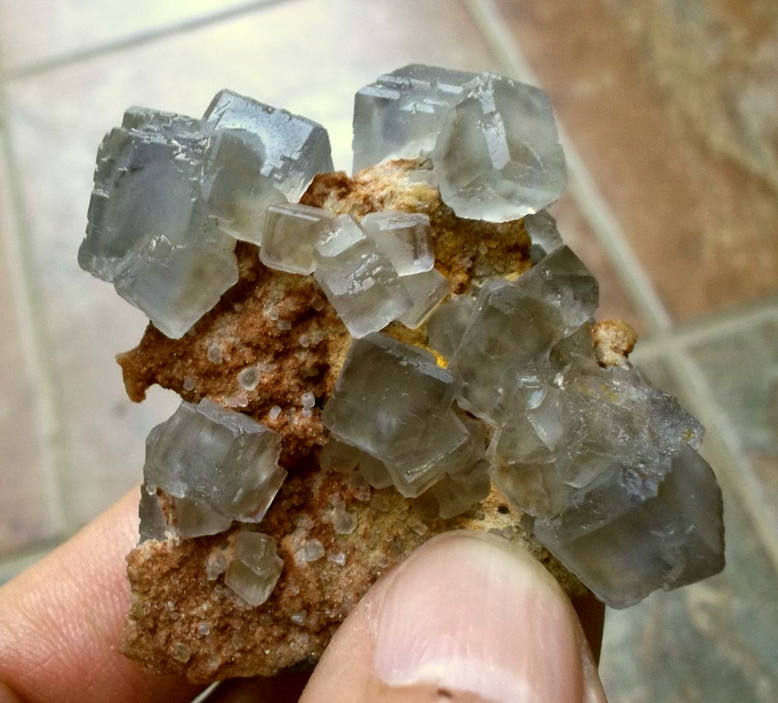 Fluorita
1,20 cm el cristal de mayor dimensión
(Autor: Cristalino)