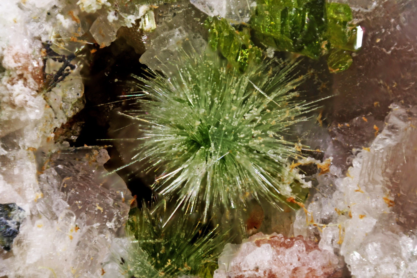 Pumpellyita
Cristal 1 mm
(Autor: Jorgina-Agusti-Màrius)