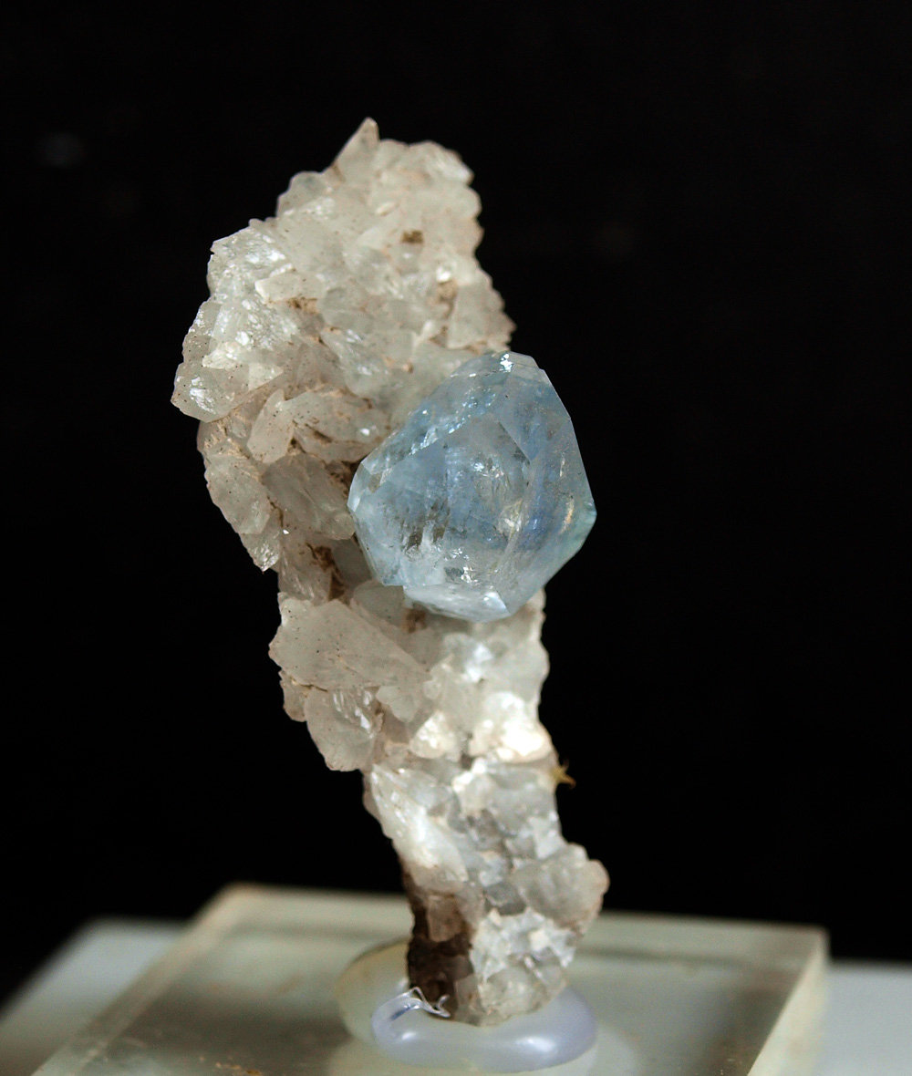 Celestina
3.5 x 1.5 cm
(Autor: Pedro Antonio)