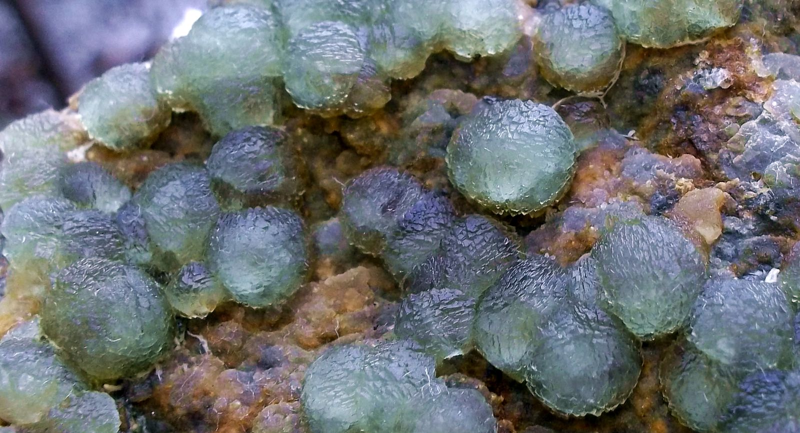 Fluorita
7 x 8 cm
(Autor: Cristalino)