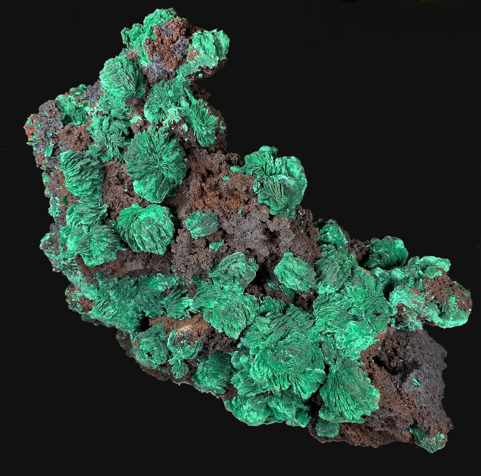 Malaquita
18,5 x 13,4 cm.
(Autor: Xavier bordas)