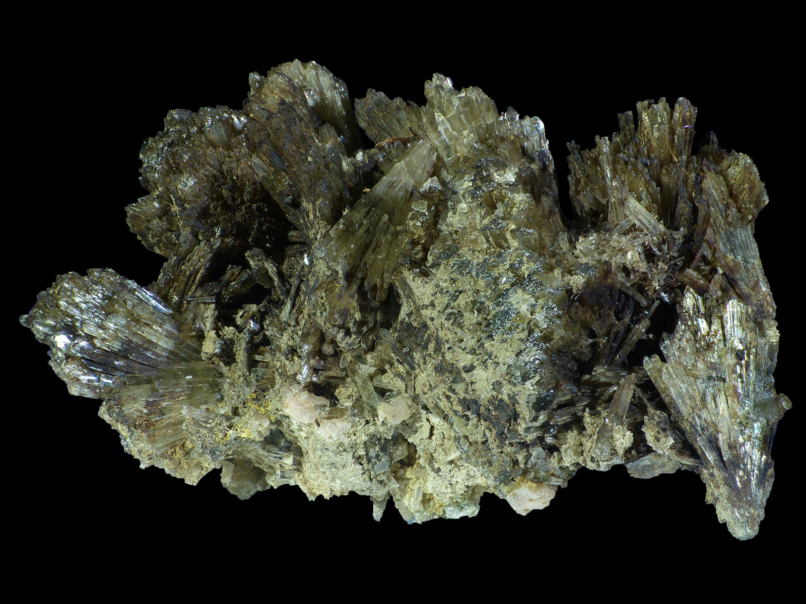 Clinozoisita
2,5 x 1,5 x 1 cm
(Autor: Javier Rodriguez)