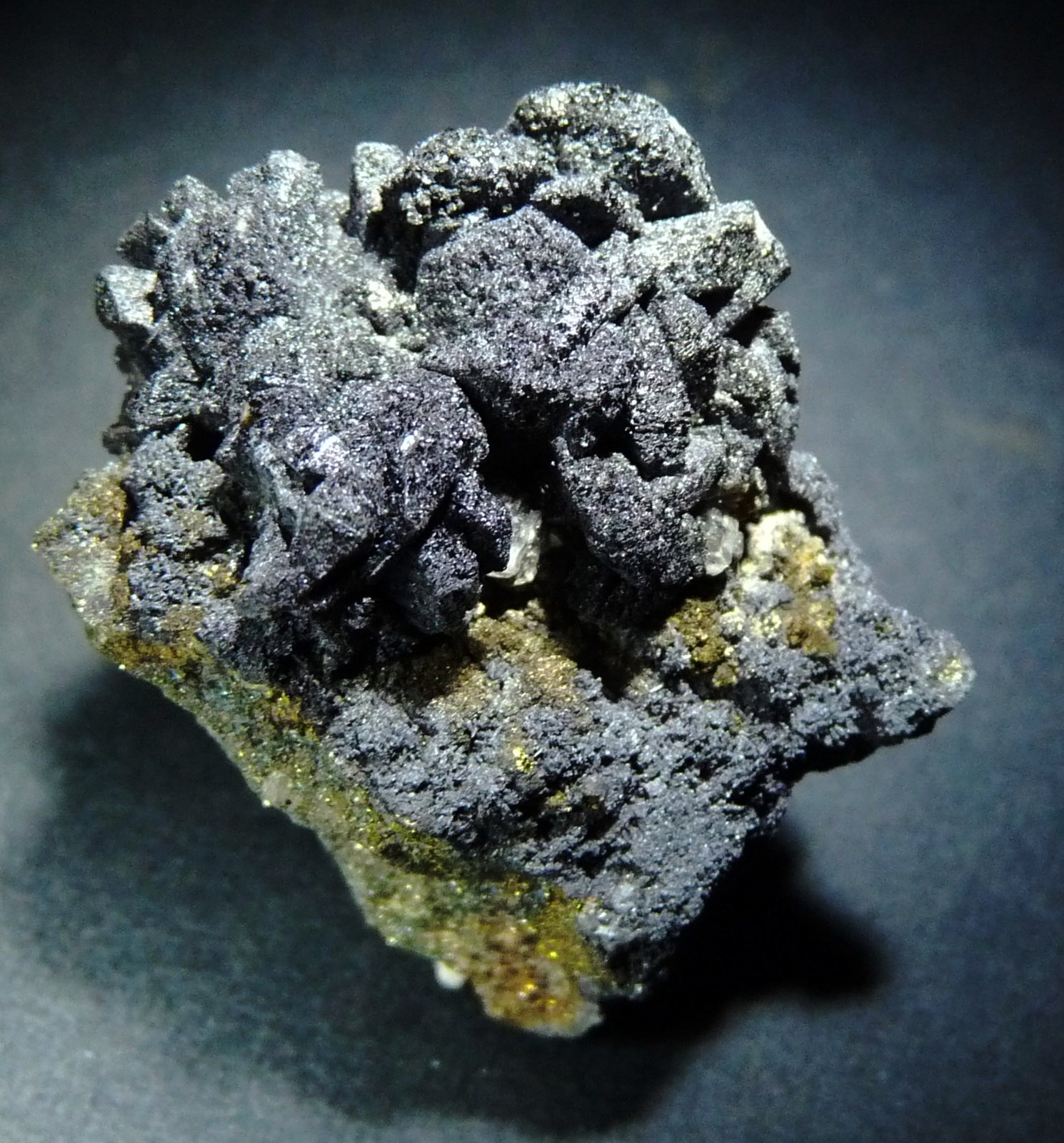 Valentinita.
35x30 mm.
(Autor: Jesus Franquesa Baucells)