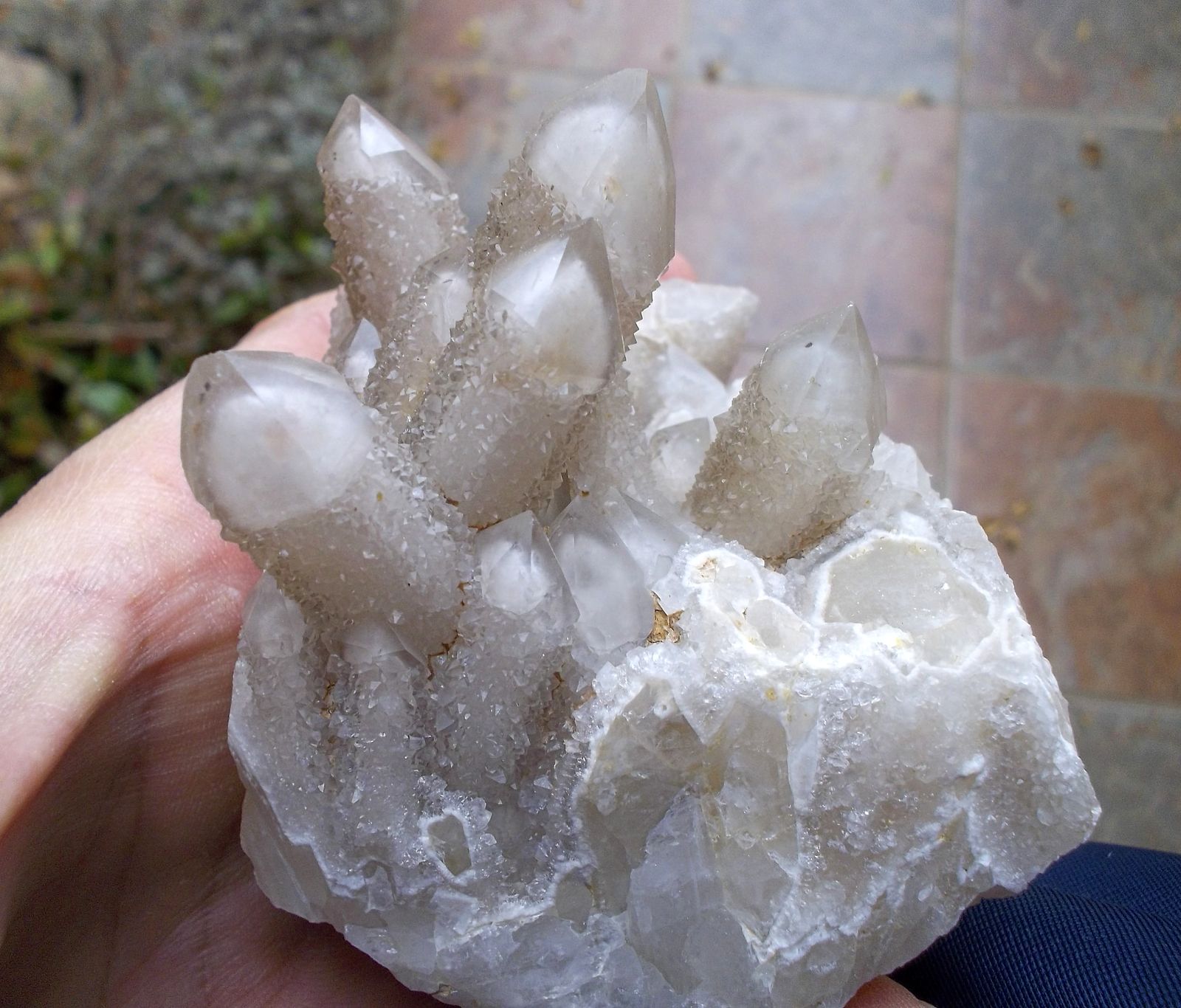 Cuarzo
Hasta 3 cm de longitud los cristales.
(Autor: Cristalino)