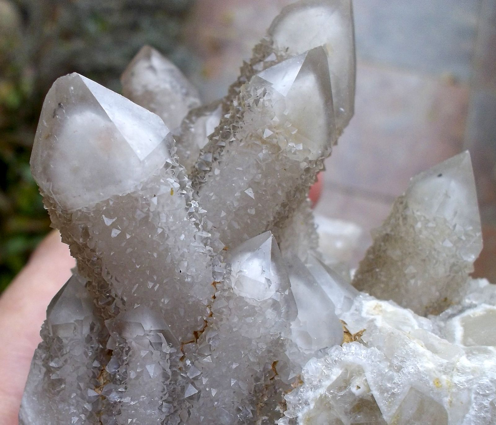 Cuarzo
Hasta 3 cm de longitud los cristales.
(Autor: Cristalino)