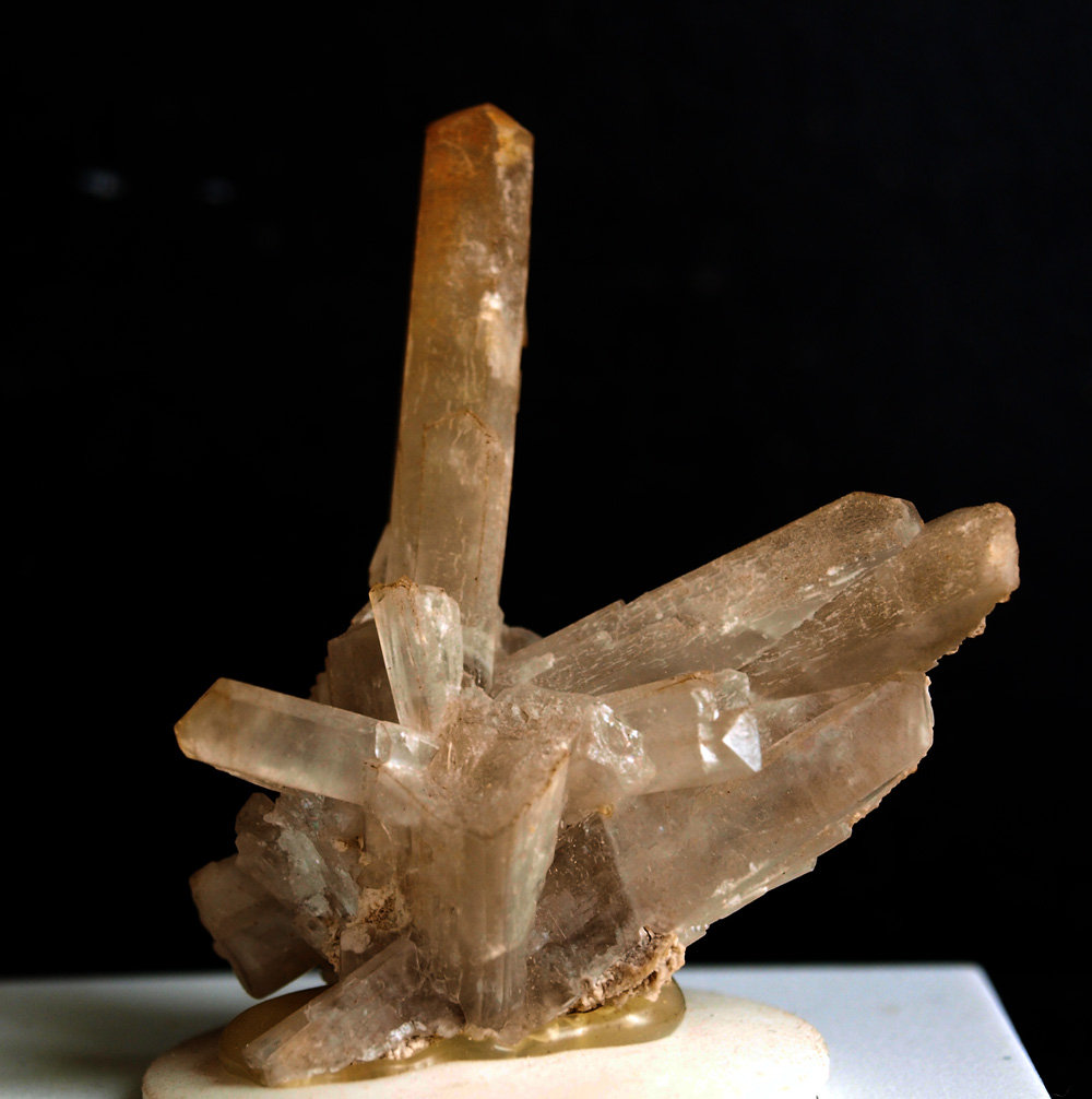Celestina
5 x 4 cm
(Autor: Pedro Antonio)