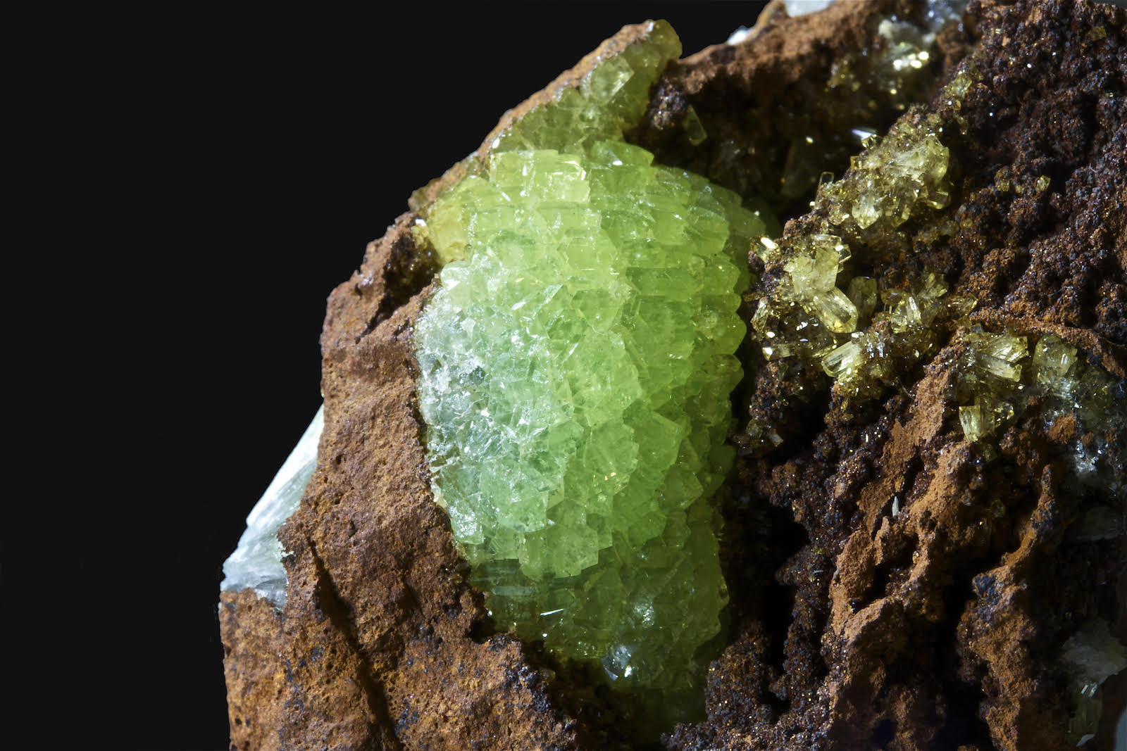 Adamita
5,8 x 4,1 cm.
(Autor: Xavier bordas)