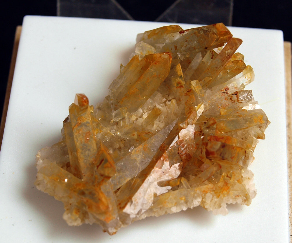 Celestina
4.5 x 3.5 cm
(Autor: Pedro Antonio)
