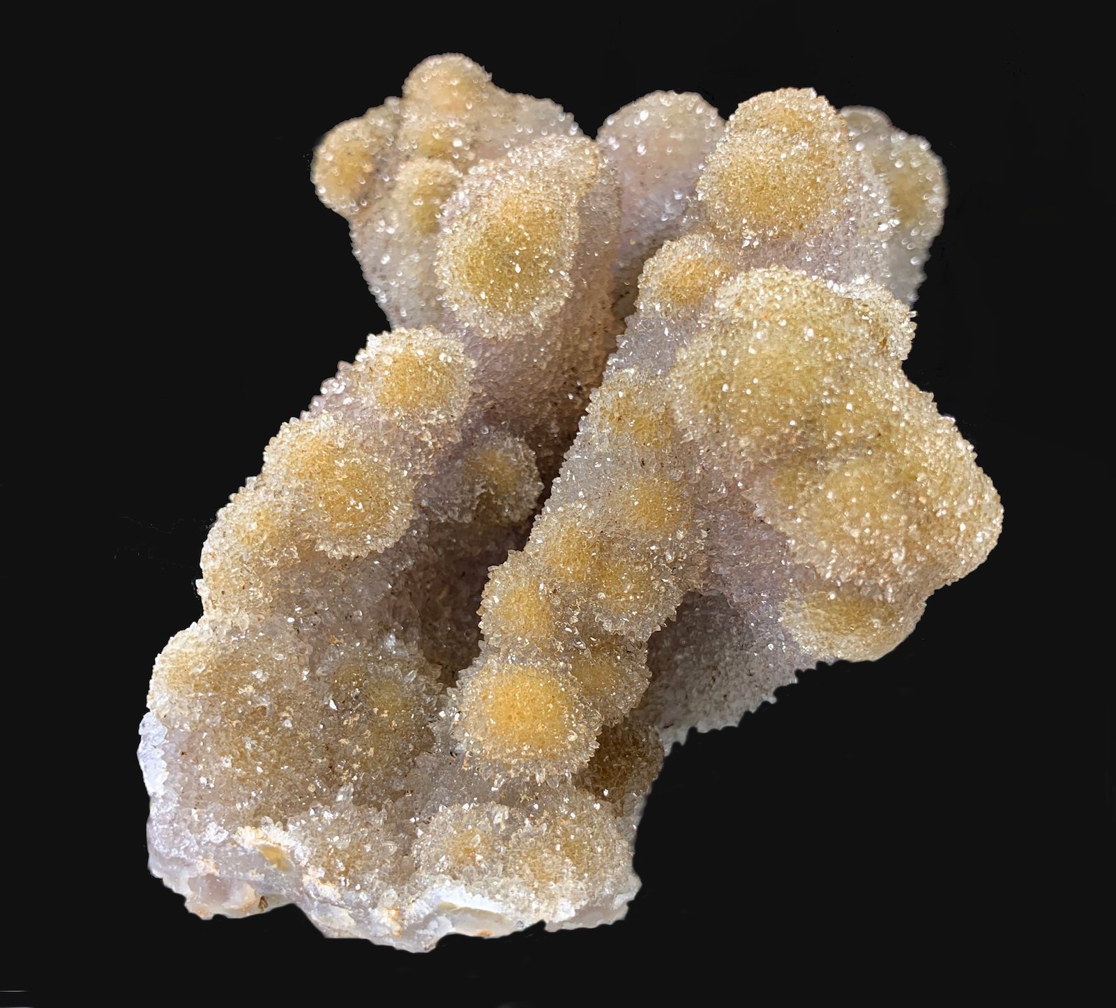 Cuarzo (variedad calcedonia)
15,2 x 10,6 cm.
(Autor: Xavier bordas)