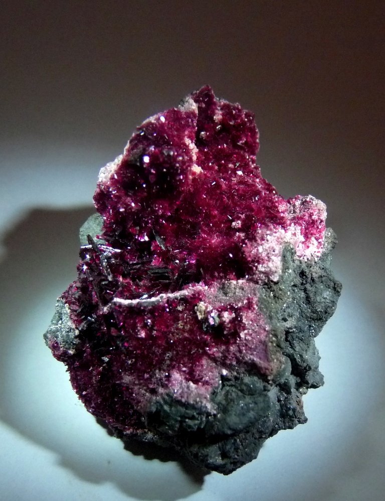 Eritrina
60x40 mm.
(Autor: Jesus Franquesa Baucells)