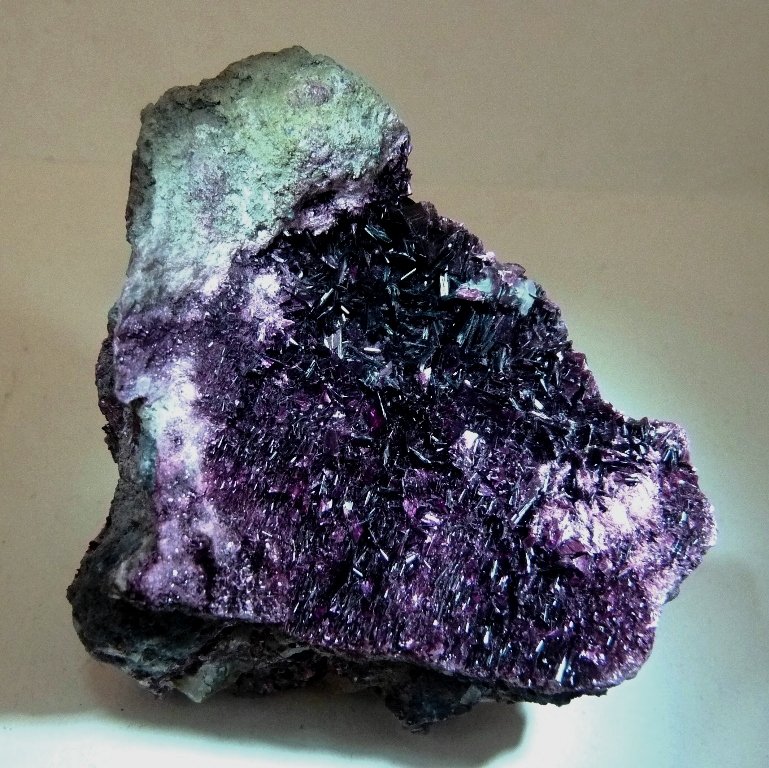 Eritrina
60x50 mm.
(Autor: Jesus Franquesa Baucells)