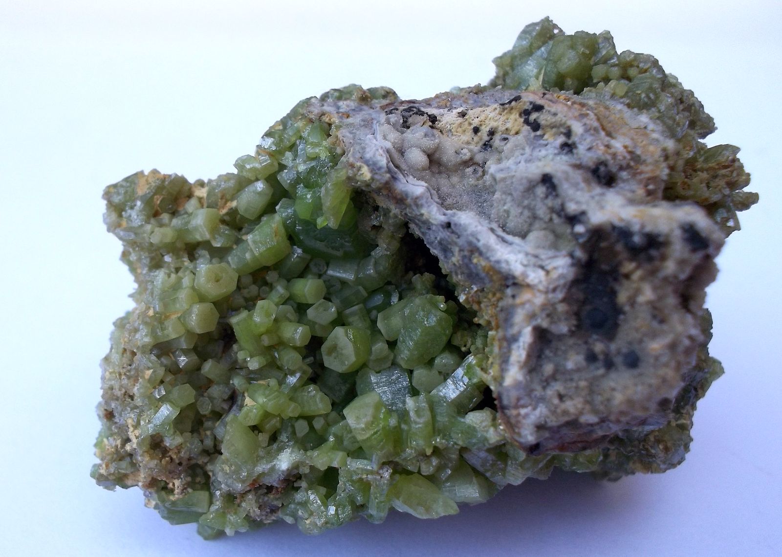 Piromorfita
3,5 x 3 cm
(Autor: Cristalino)