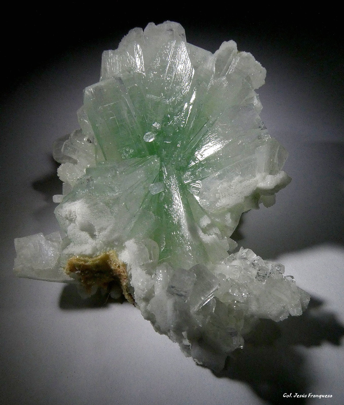 Fluorapophyllita-(K) (Apofilita)
65x50 mm.
(Autor: Jesus Franquesa Baucells)