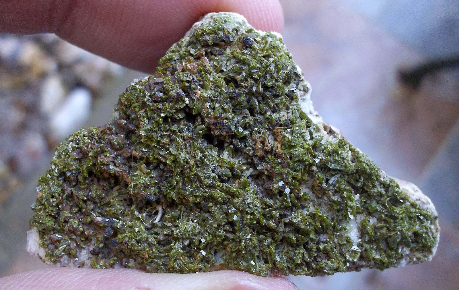Epidota
4,5 x 2,5 cm
(Autor: Cristalino)
