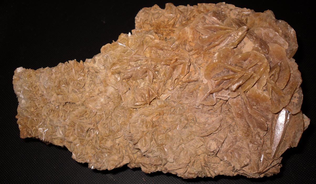 Yeso
19 x 13 cm
(Autor: Jordi Franco)