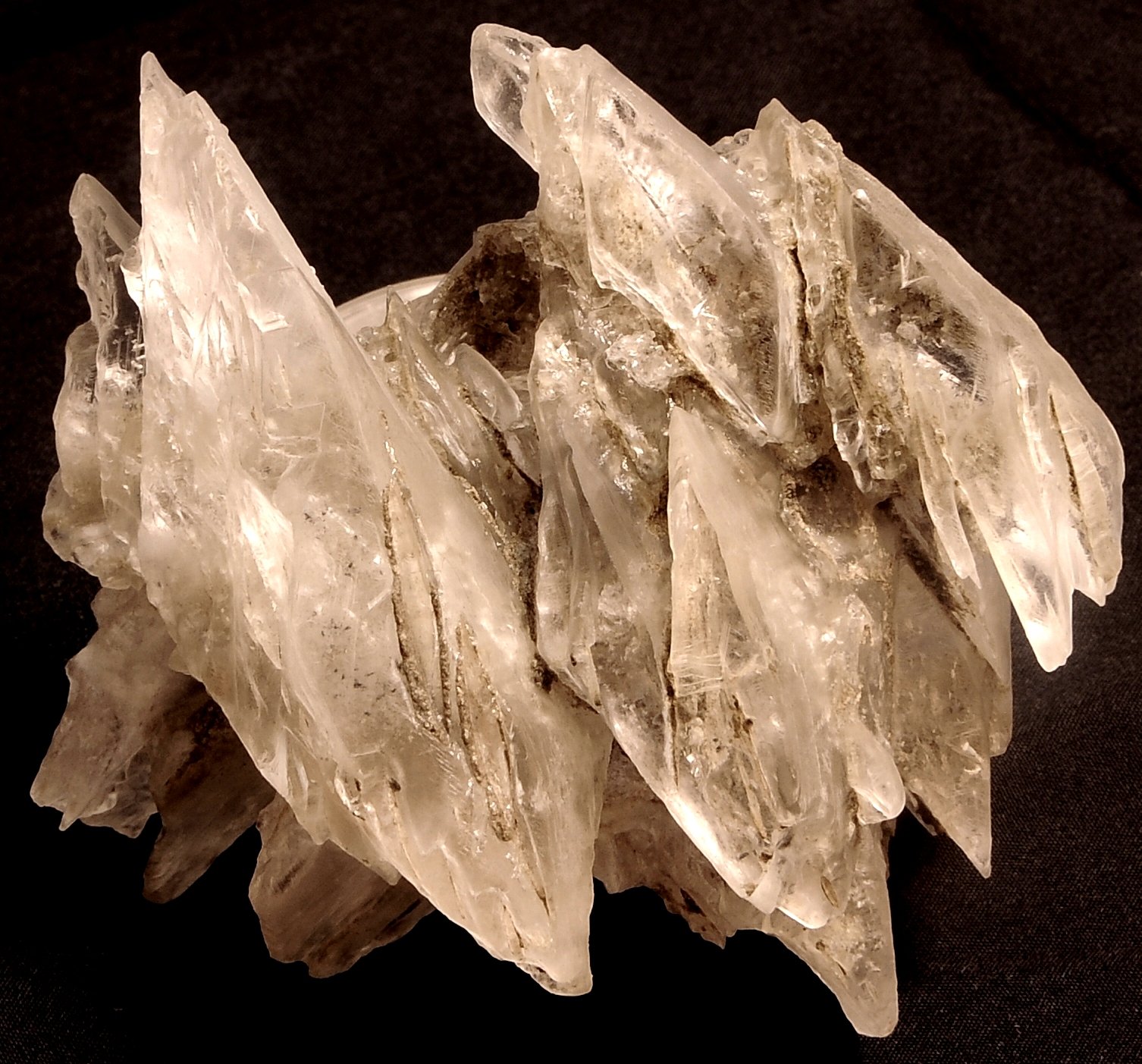 Yeso
8,5 x 8,4 cm
(Autor: angel picazo monroy)