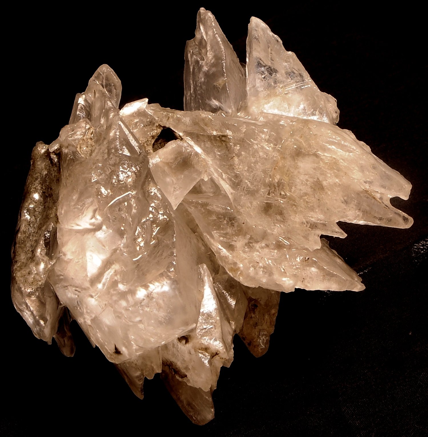 Yeso
8,8 x 8,4 cm
(Autor: angel picazo monroy)
