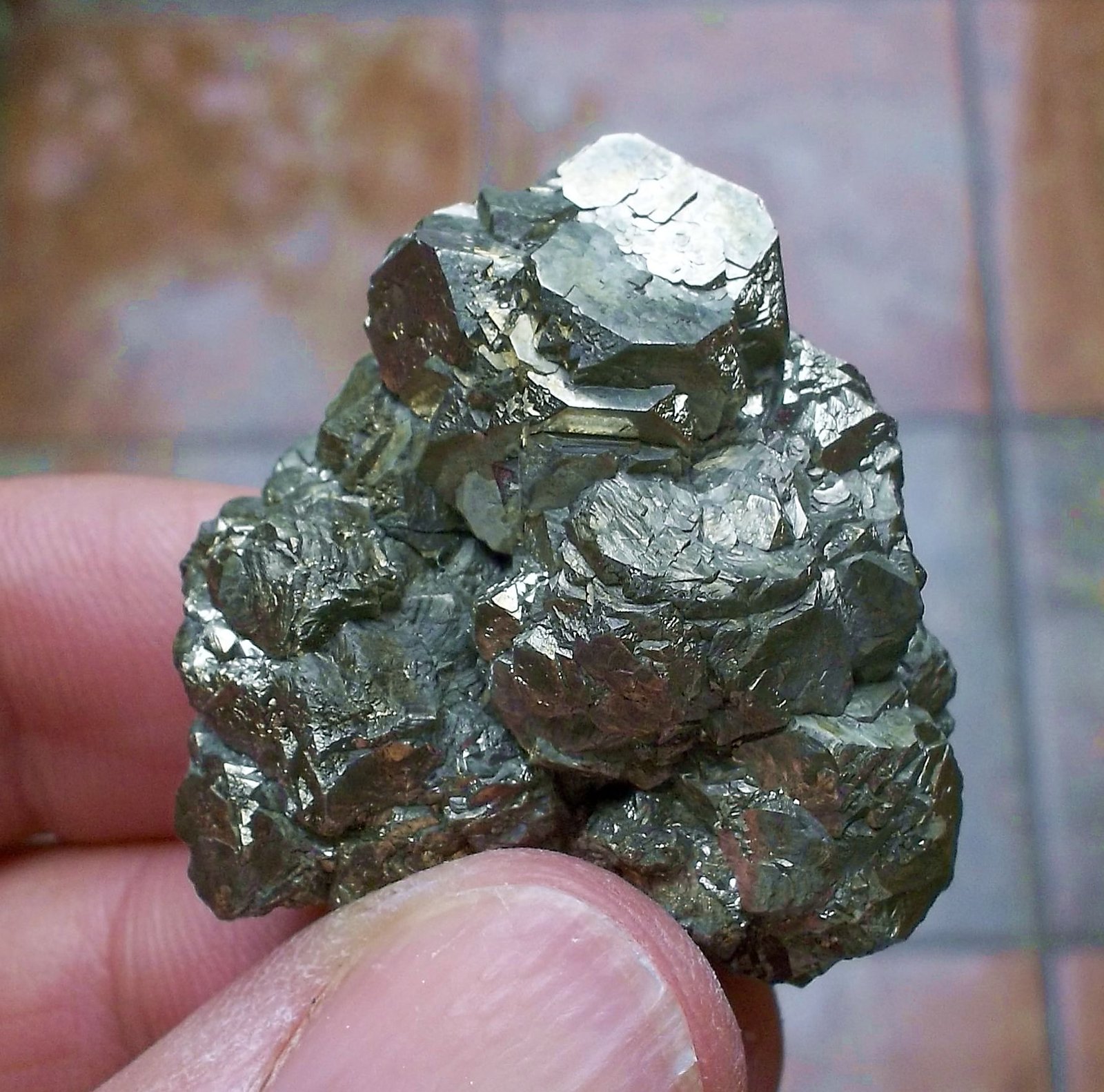 Pirita
3 x 3 cm
(Autor: Cristalino)