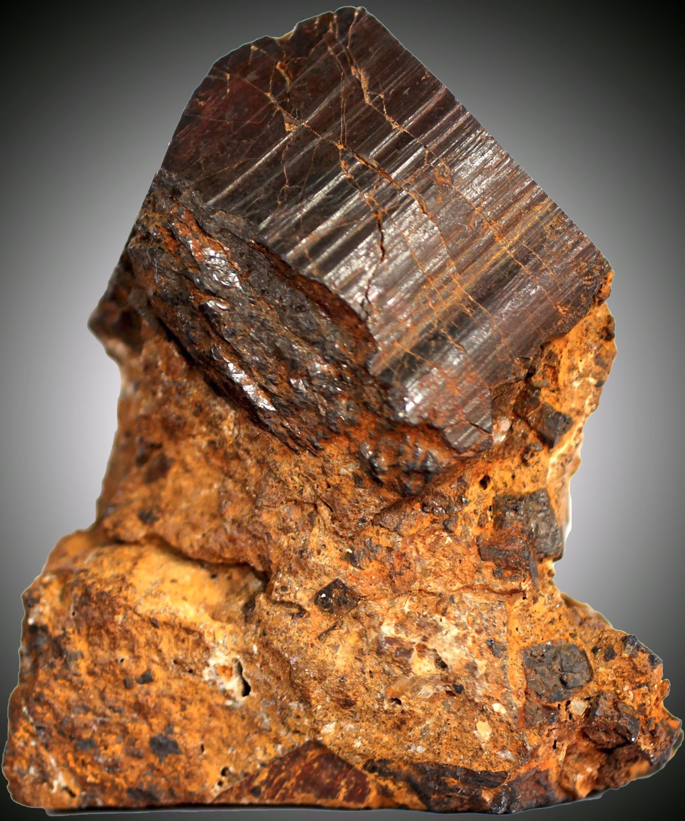 Hematites pseudomórfica de Pirita
69 x 57 x 42 mm.
(Autor: José Luis Zamora)