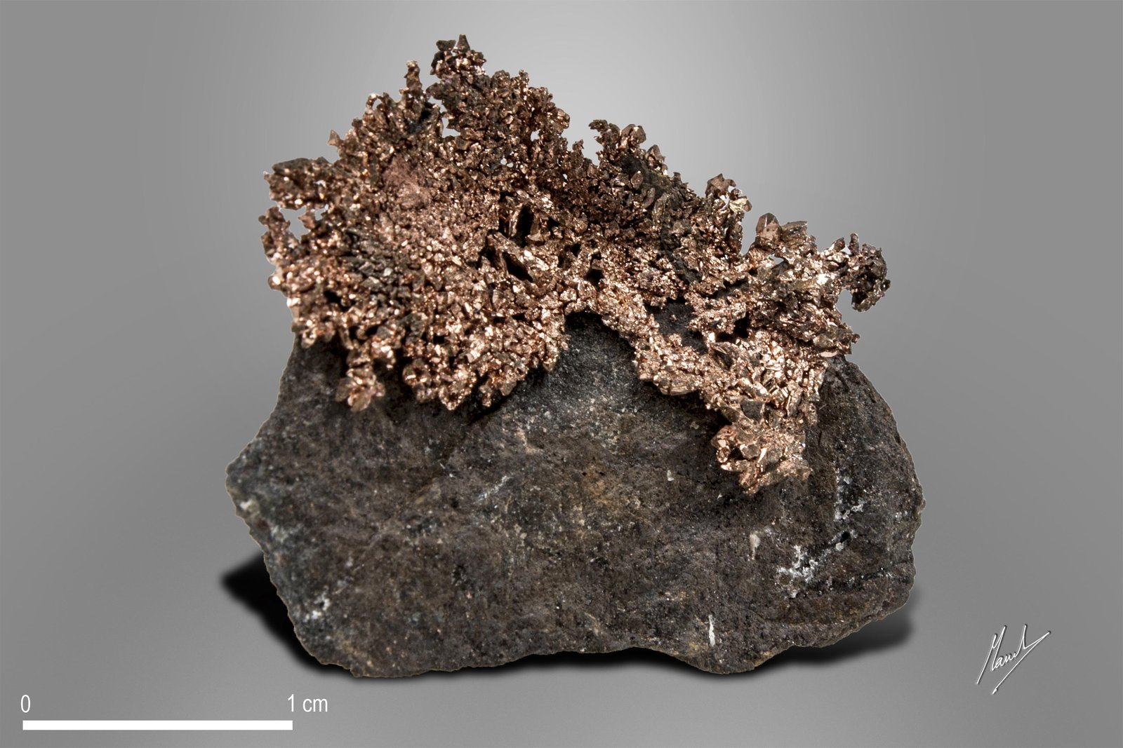 Cobre
34 x 26 mm
(Autor: Manuel Mesa)