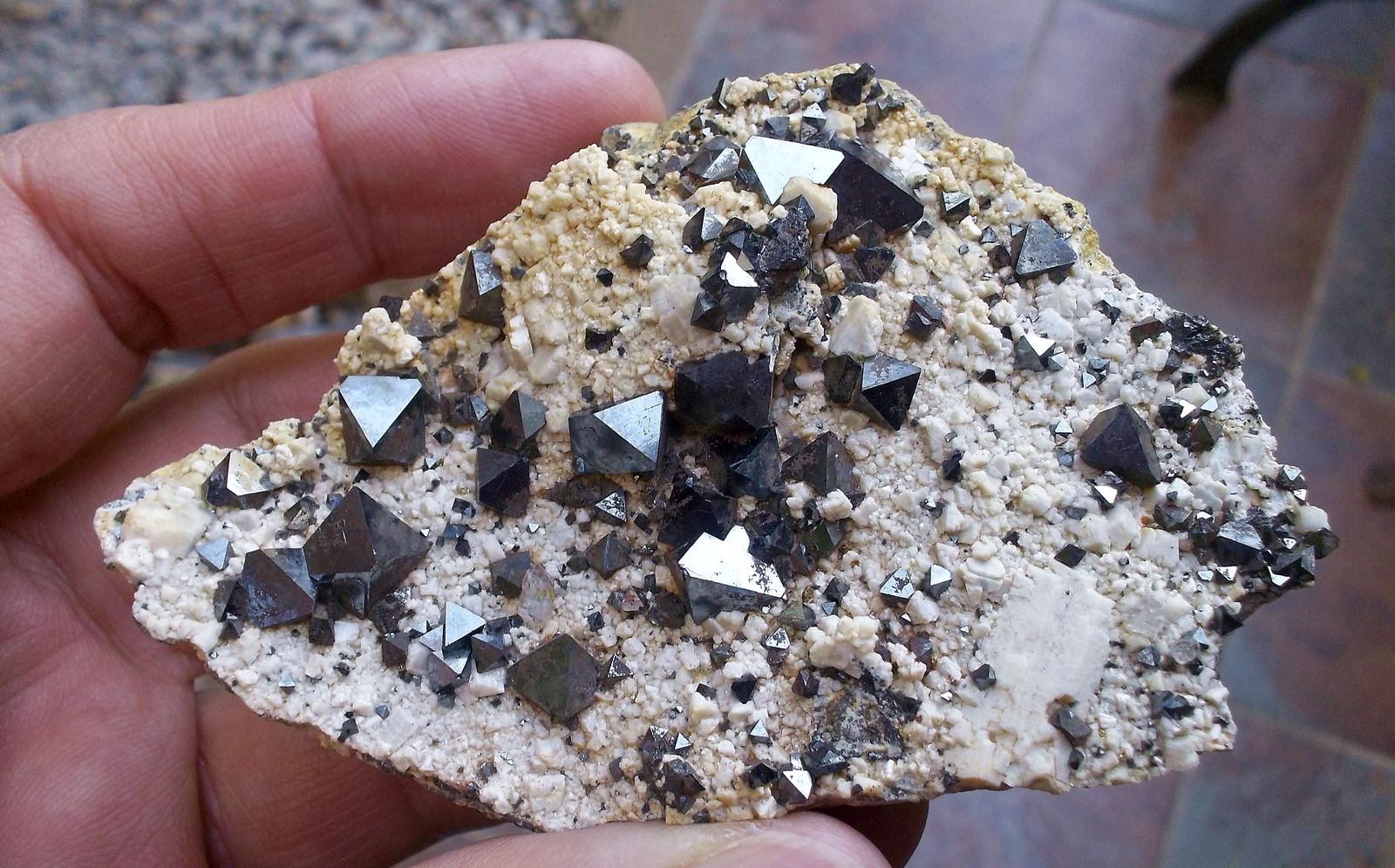 Magnetita
8 x 5 cm
(Autor: Cristalino)