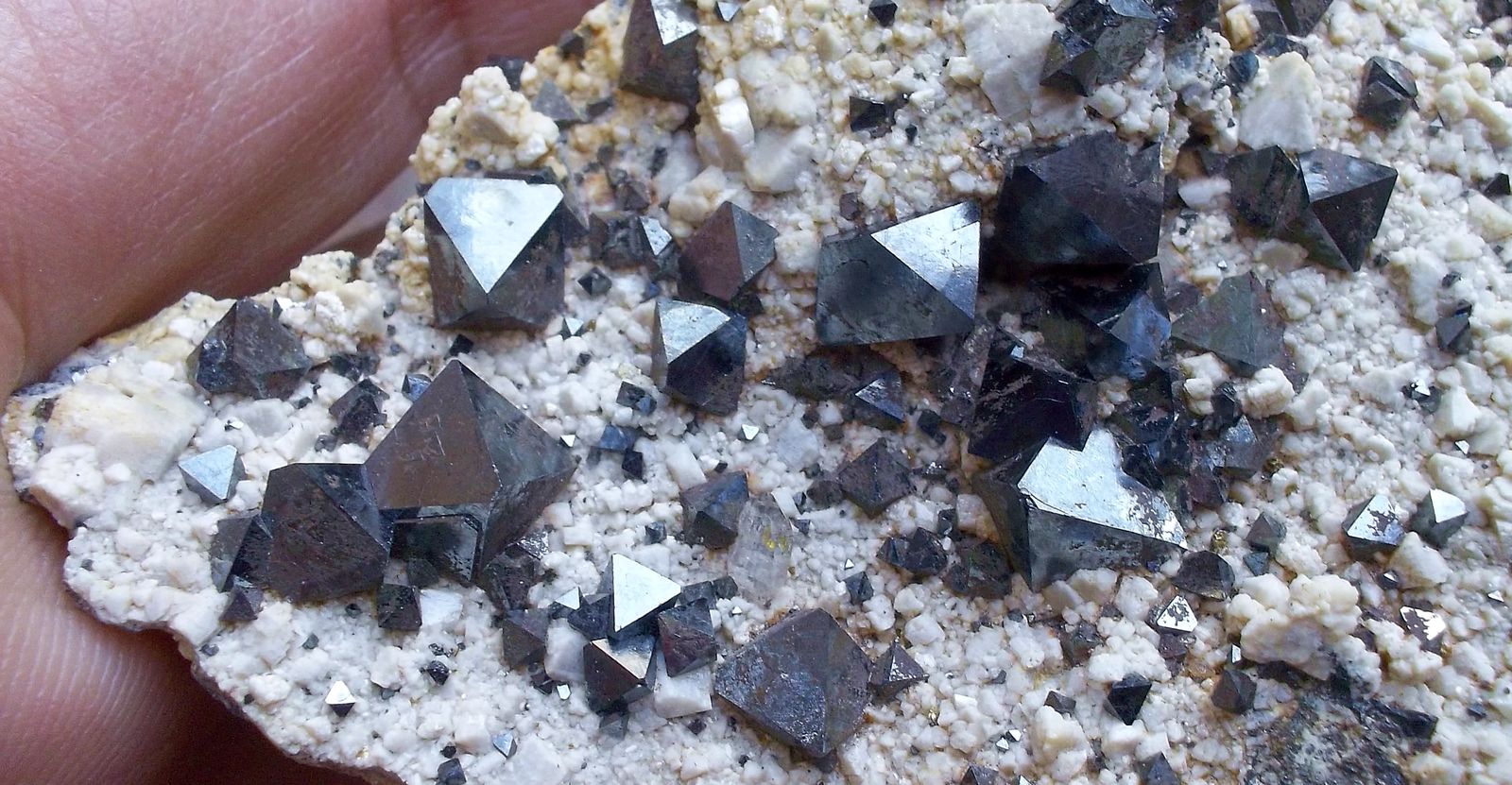 Magnetita
8 x 5 cm
(Autor: Cristalino)