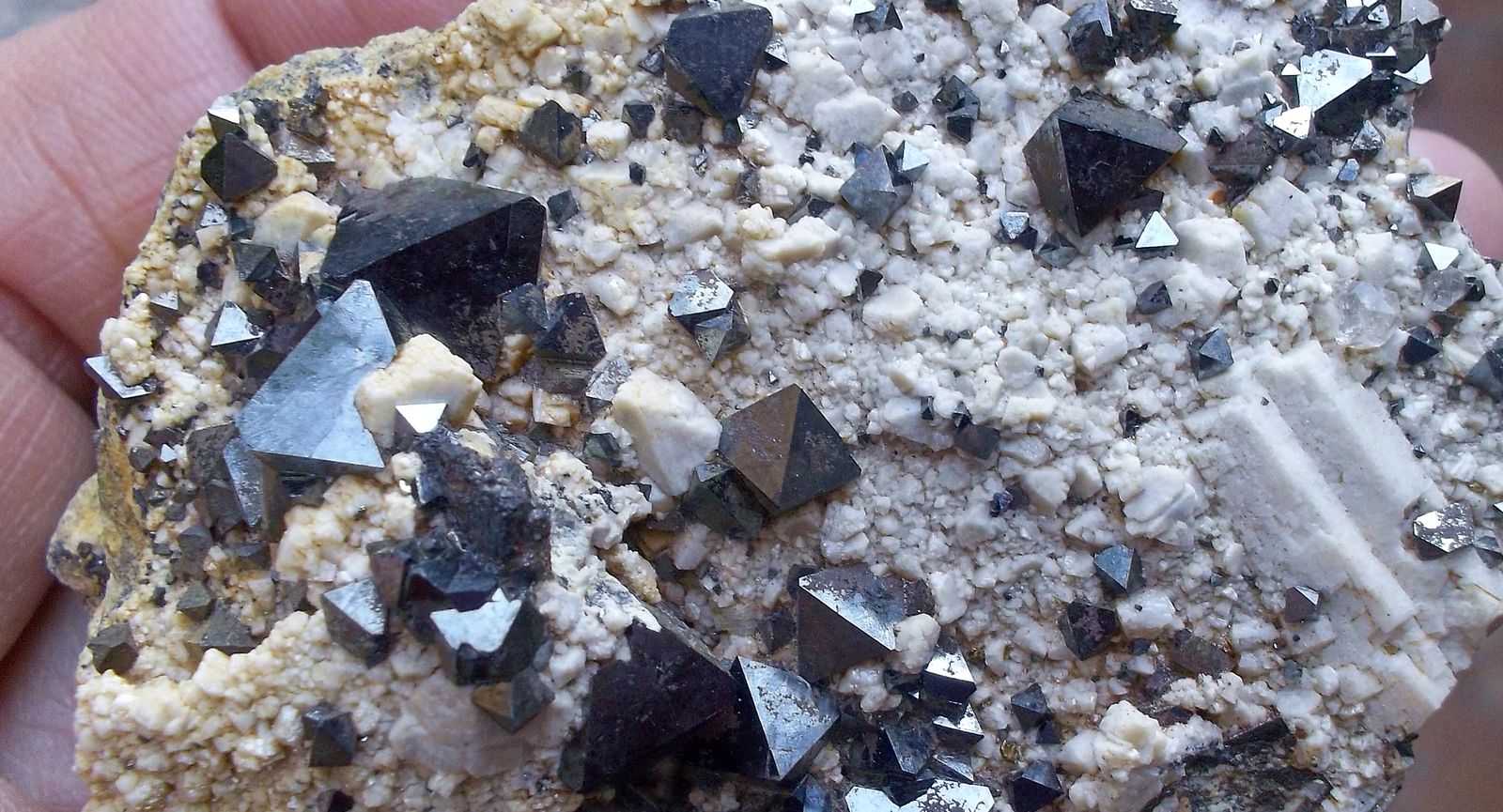 Magnetita
8 x 5 cm
(Autor: Cristalino)