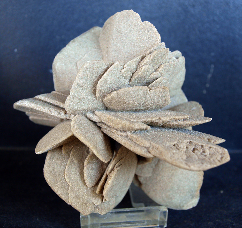 Yeso
10 x 10 cm
(Autor: Pedro Antonio)