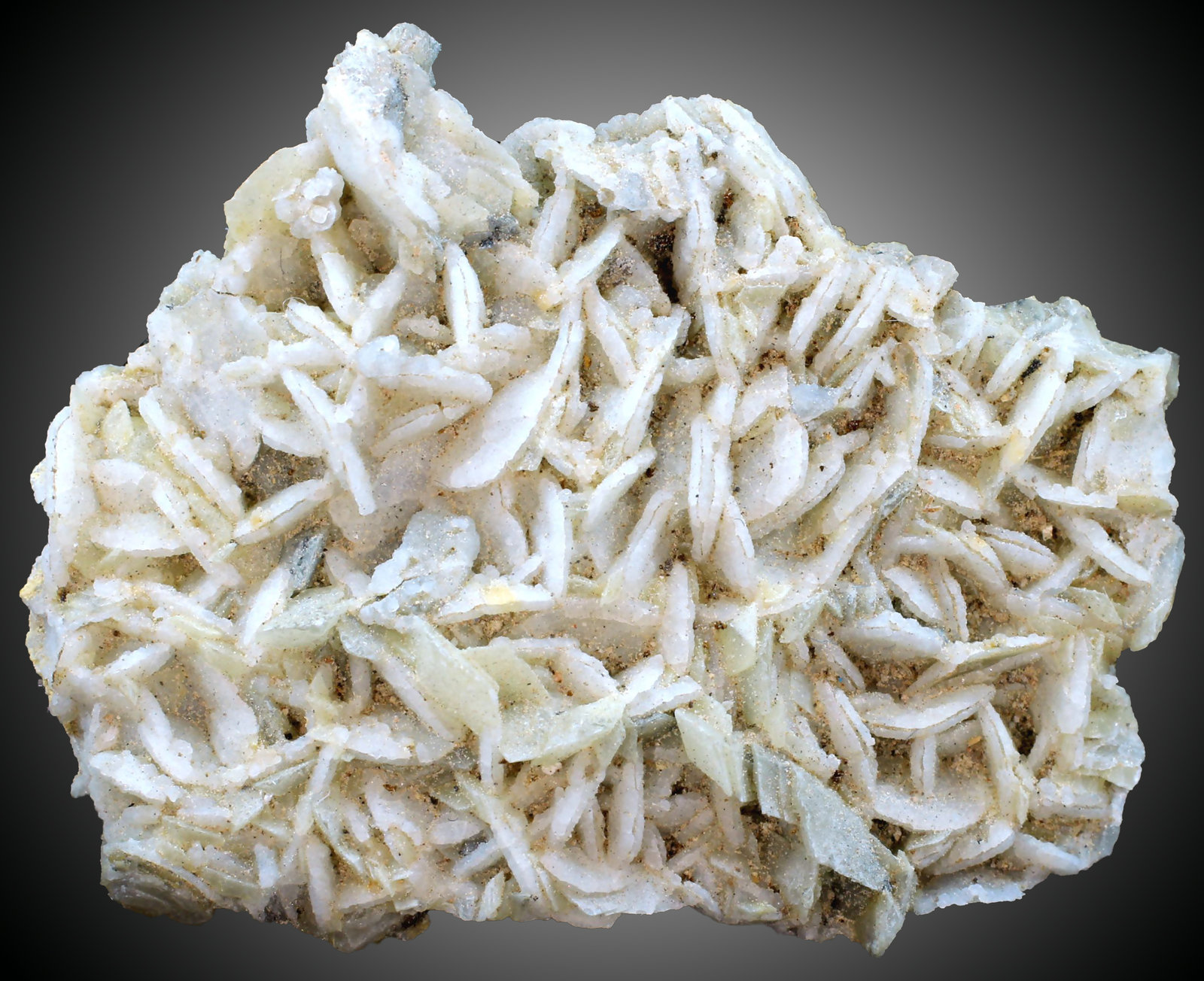 Cuarzo (variedad calcedonia)
41 x 32 x 08 mm
(Autor: José Luis Zamora)