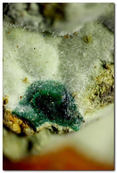 Olivenita, malaquita.
Encuadre 6 mm.
(Autor: Rafa Muñoz(mineralvarado))