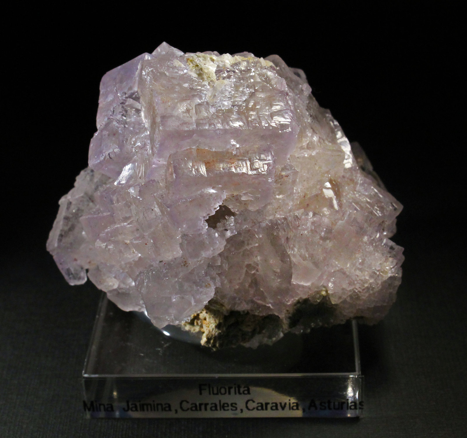 Fluorita
6,5 x 5,5 cm. (Cristal mayor: 2,5 cm).
(Autor: Darío Menéndez)