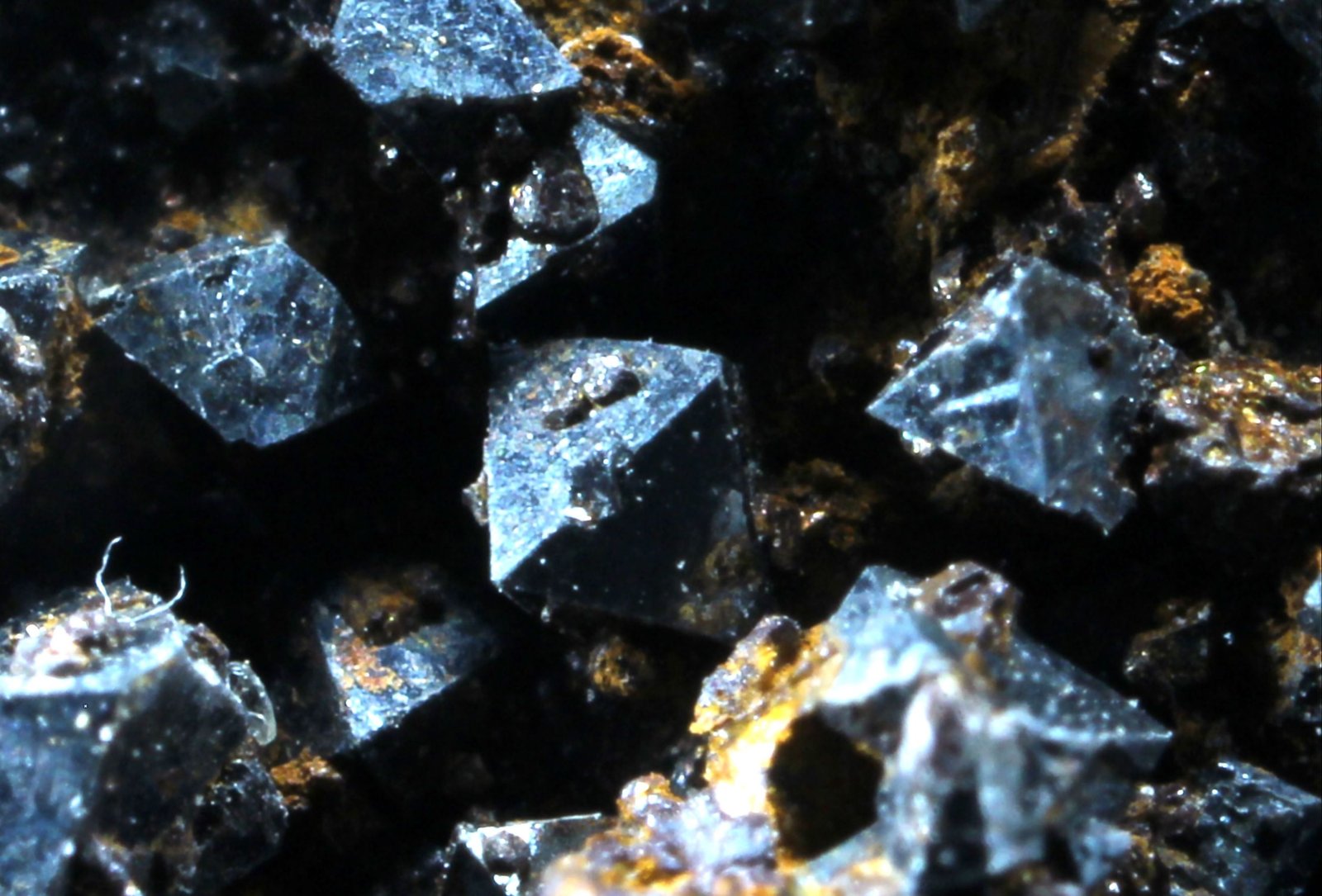 Magnetita
52 x 50 x 26 mm.
(Autor: José Luis Zamora)
