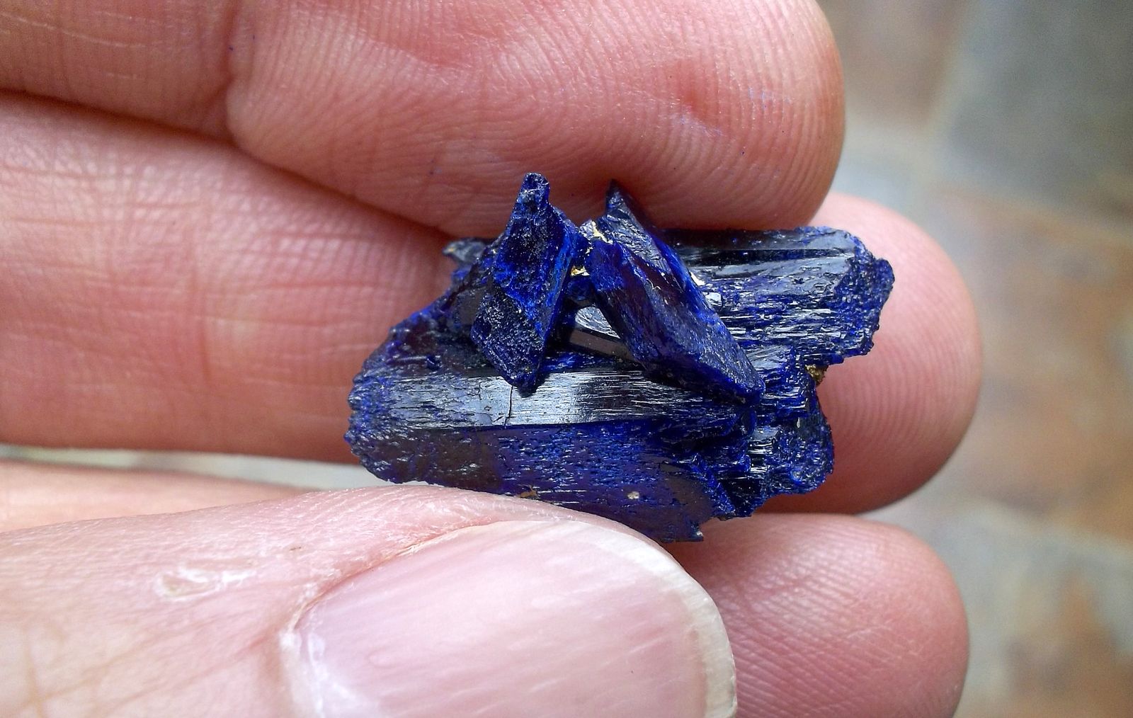 Azurita
2 x 1,3 cm
(Autor: Cristalino)