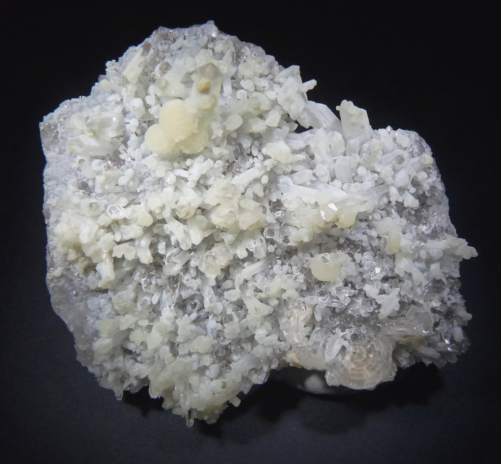Wavellita
70x65 mm.
(Autor: Jesus Franquesa Baucells)