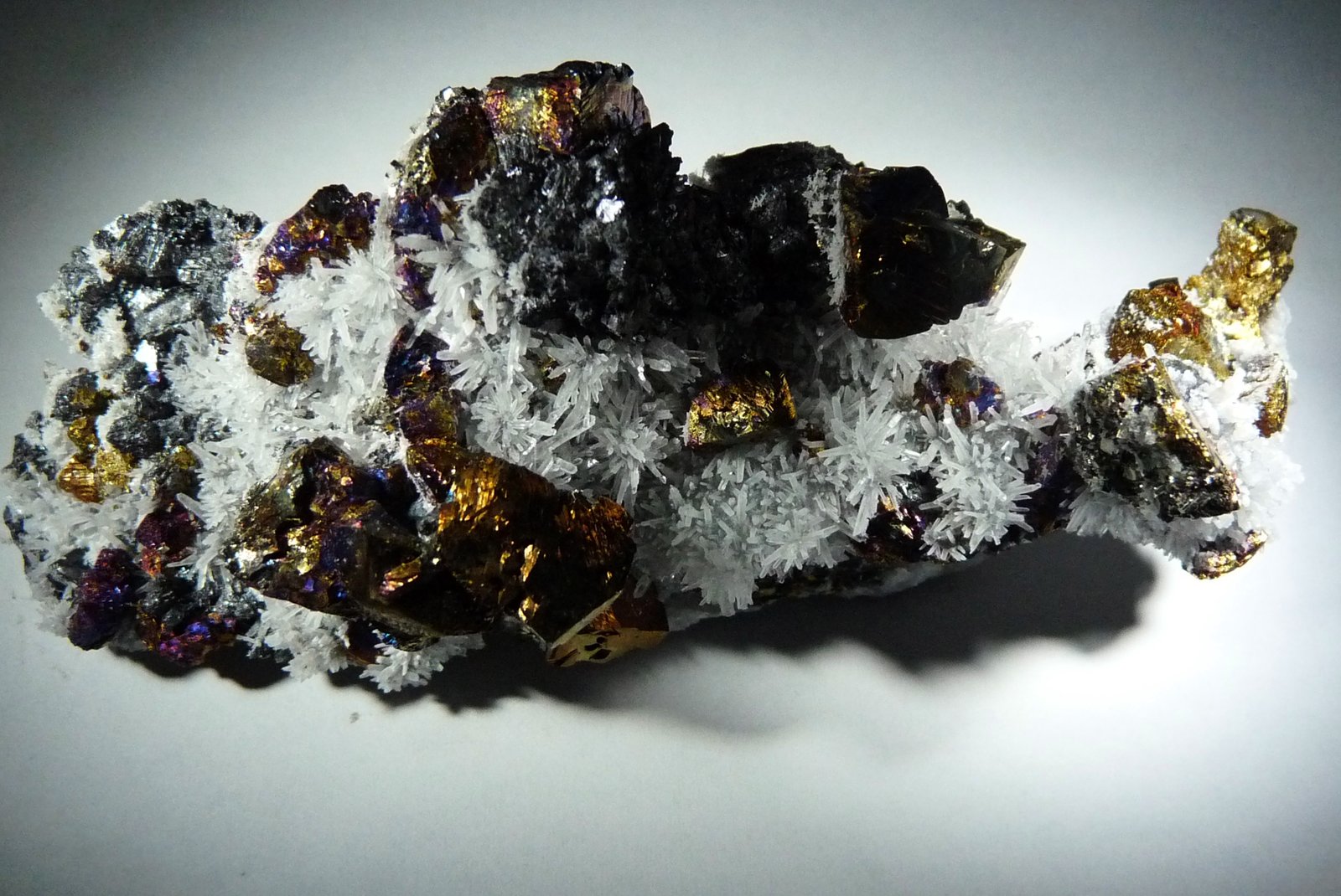 Calcopirita y Cuarzo.
90x45 mm.
(Autor: Jesus Franquesa Baucells)