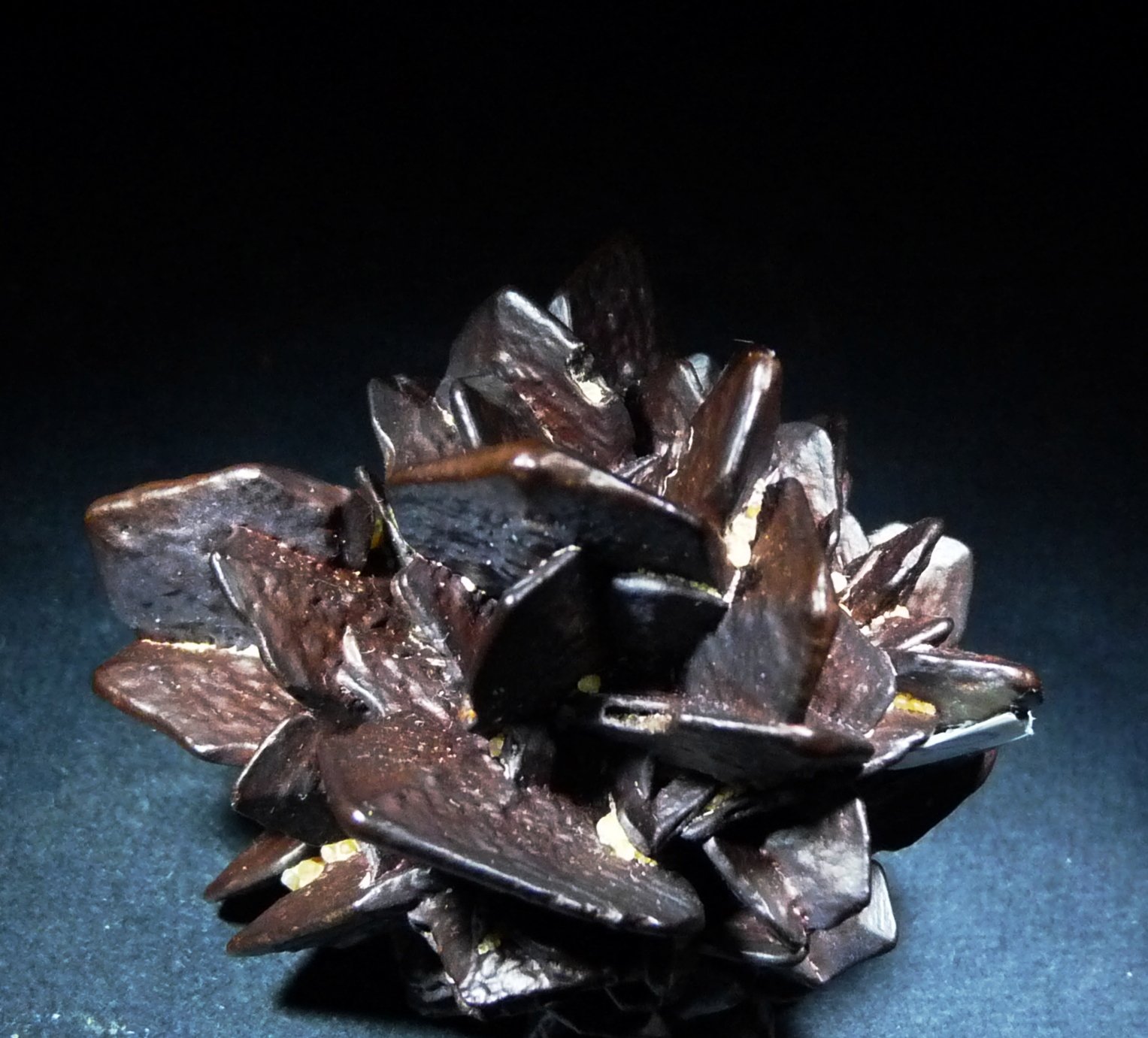 limonita pseudo Marcasita.
60x50 mm.
(Autor: Jesus Franquesa Baucells)
