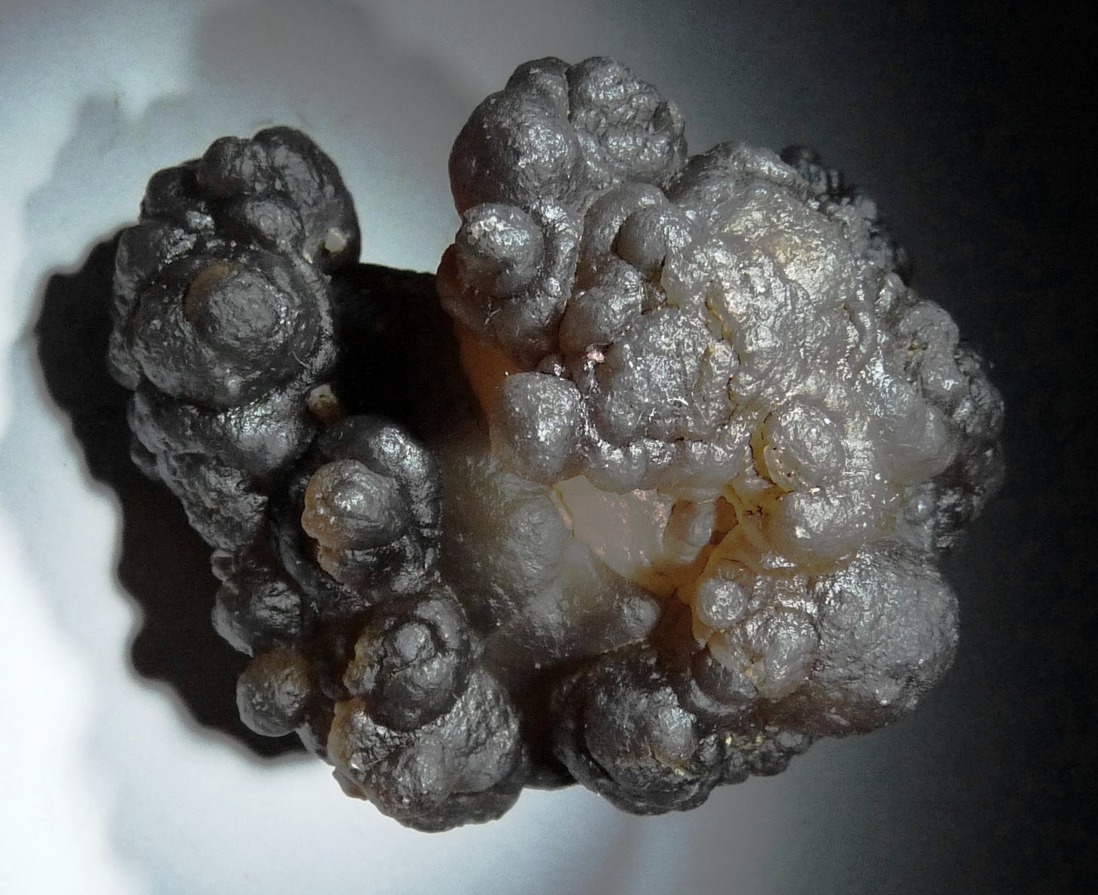 Cuarzo (variedad calcedonia)
(Autor: Jesus Franquesa Baucells)