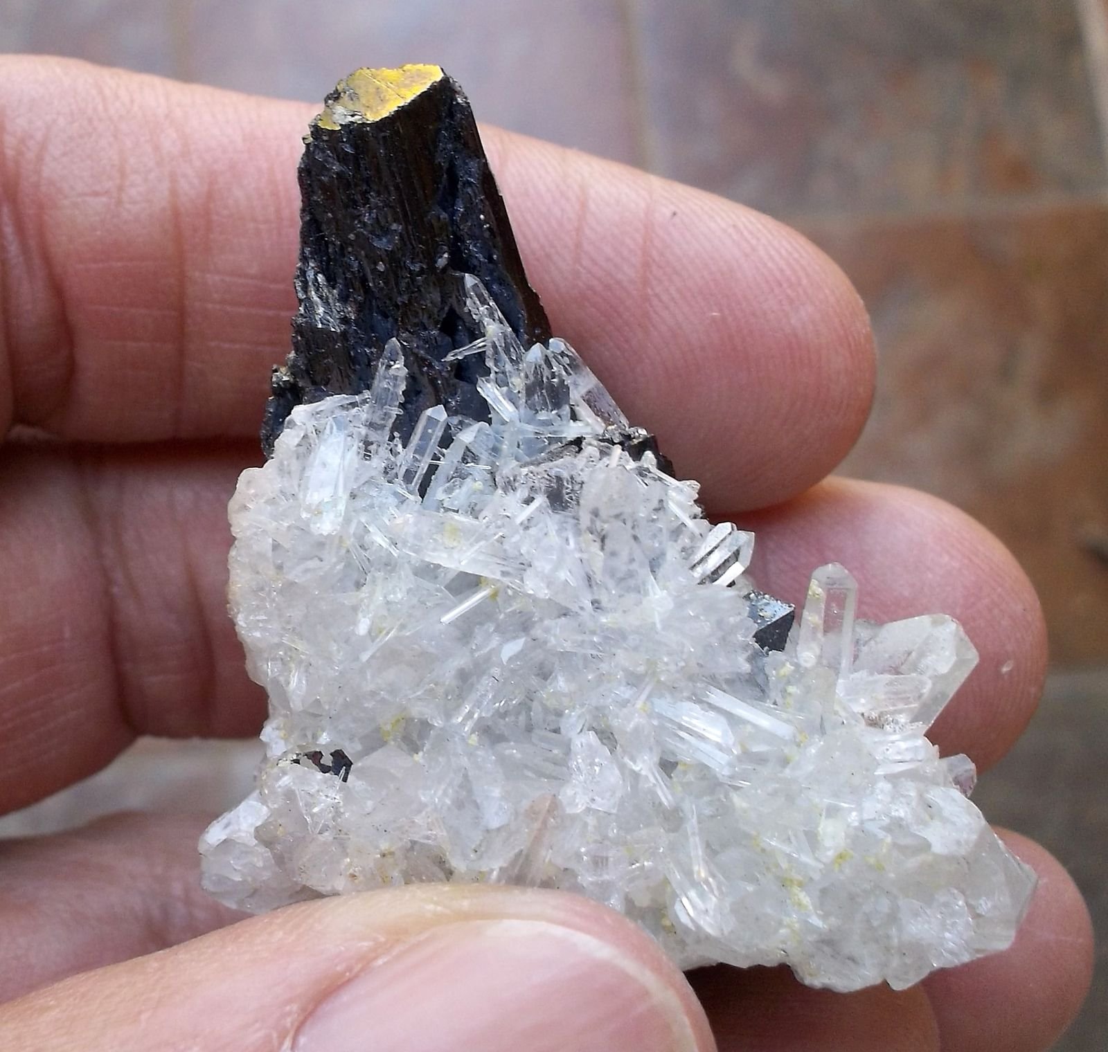 Hübnerita y Cuarzo
4,5 x 3 cm
(Autor: Cristalino)