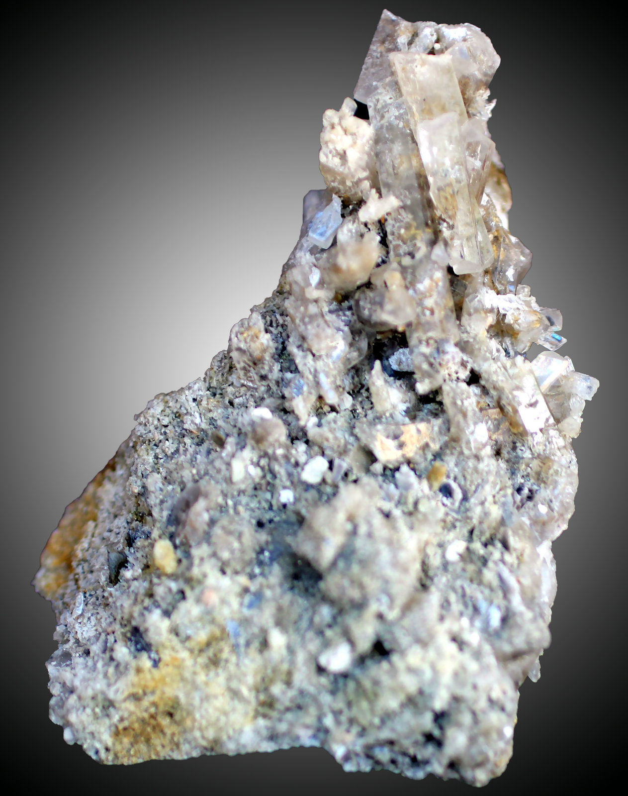 Celestina
71 x 50 x 18 mm.
(Autor: José Luis Zamora)