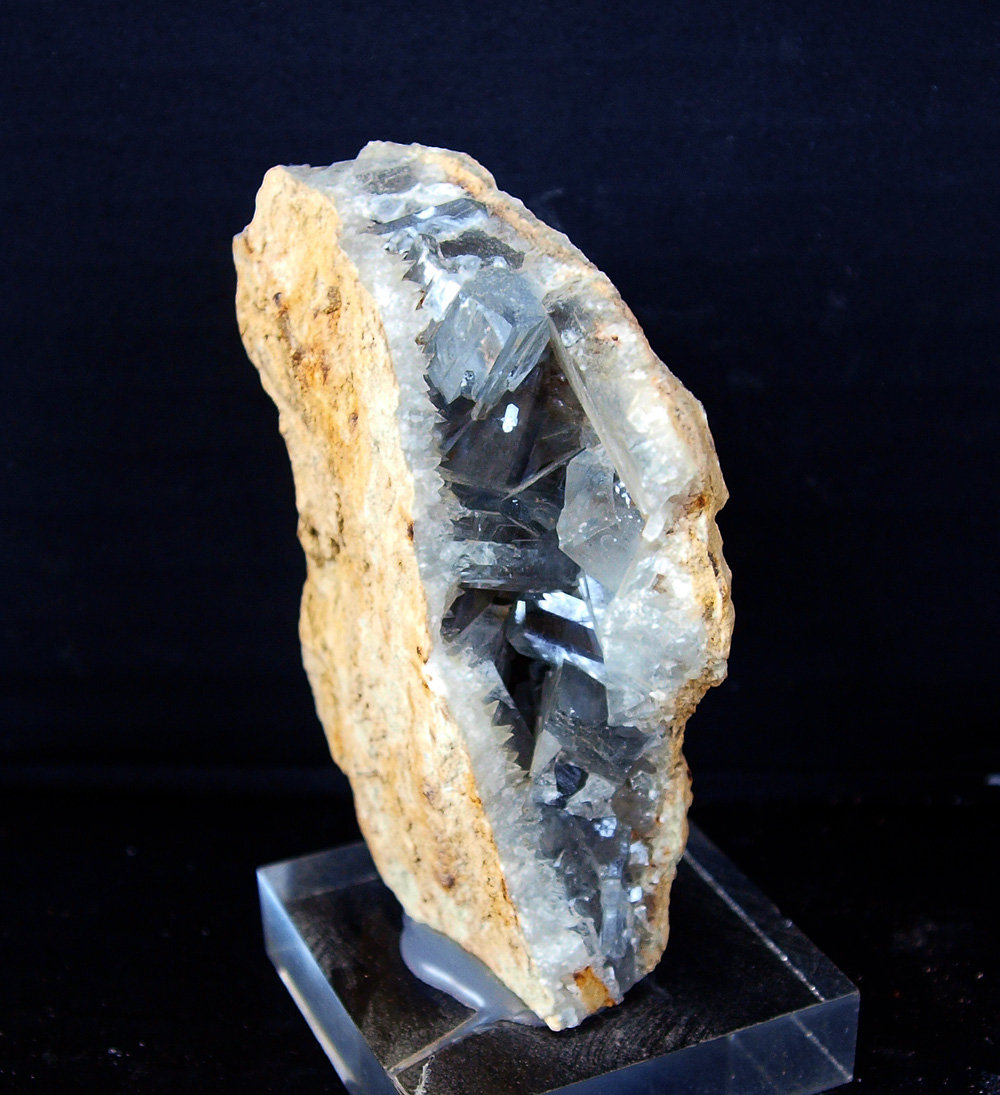 Celestina
6.5 x 2 cm
(Autor: Pedro Antonio)