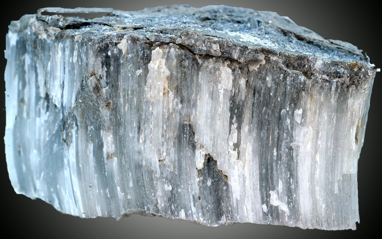 Celestina
55 x 36 x 31 mm
(Autor: José Luis Zamora)