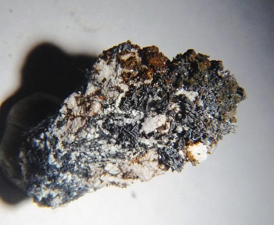 Plata
27x14 mm.
(Autor: Jesus Franquesa Baucells)