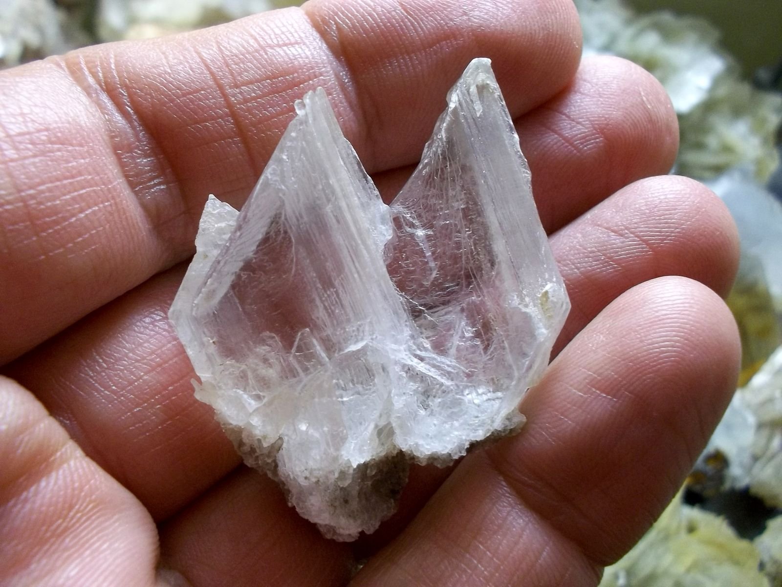 Yeso
3 x 3 cm
(Autor: Cristalino)