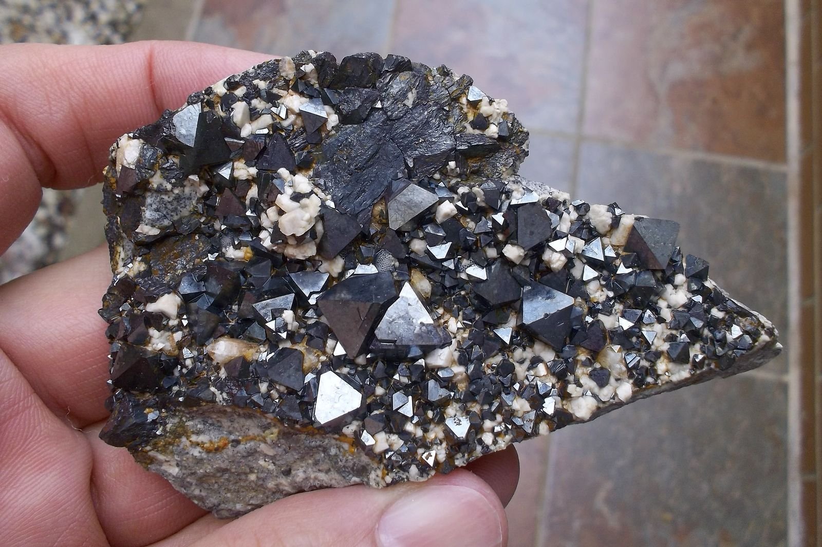 Magnetita
8 x 5 cm
(Autor: Cristalino)