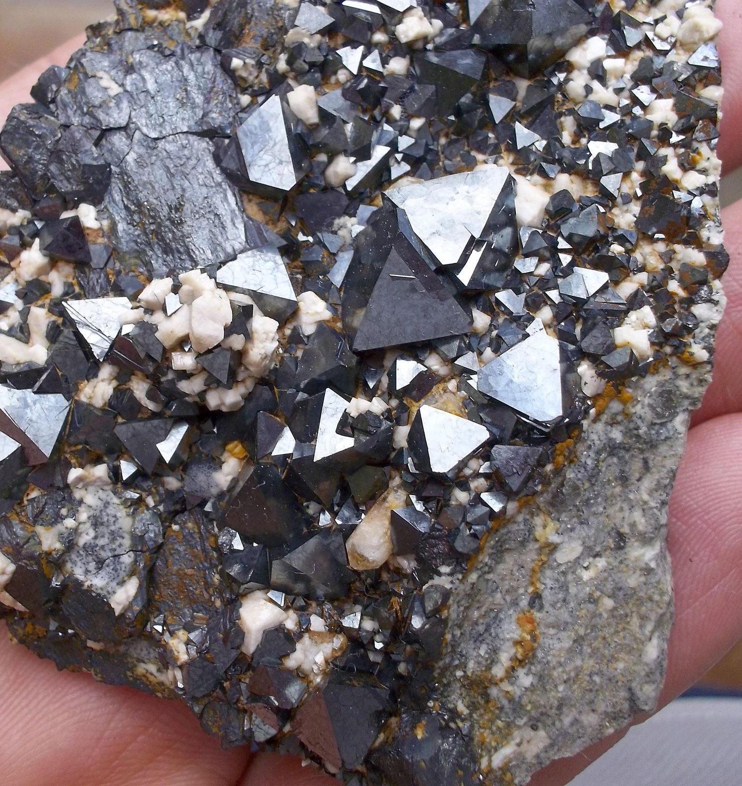 Magnetita
8 x 5 cm
(Autor: Cristalino)