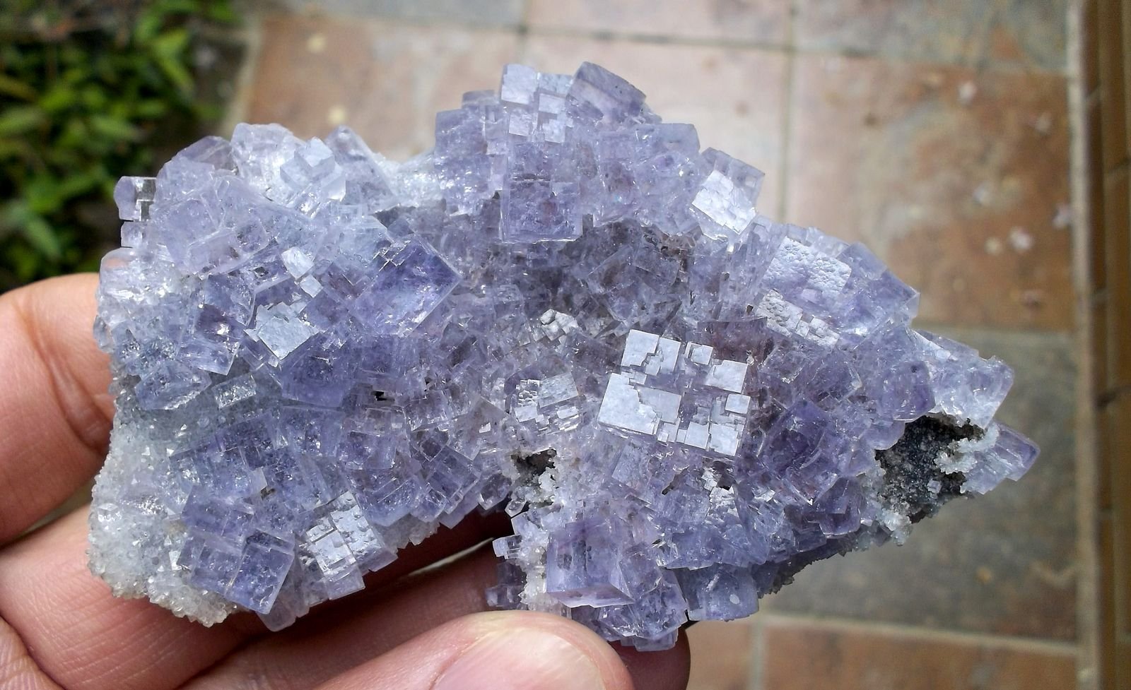 Fluorita
8 x 5 cm
(Autor: Cristalino)