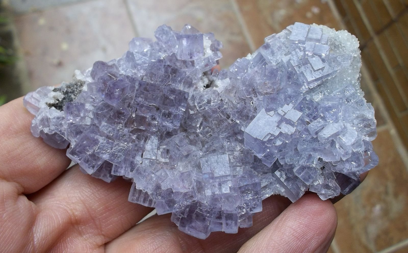 Fluorita
8 x 5 cm
(Autor: Cristalino)